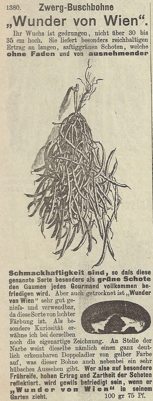 Wunder von Wien-catalogus W.Kliem-Gotha-1908-