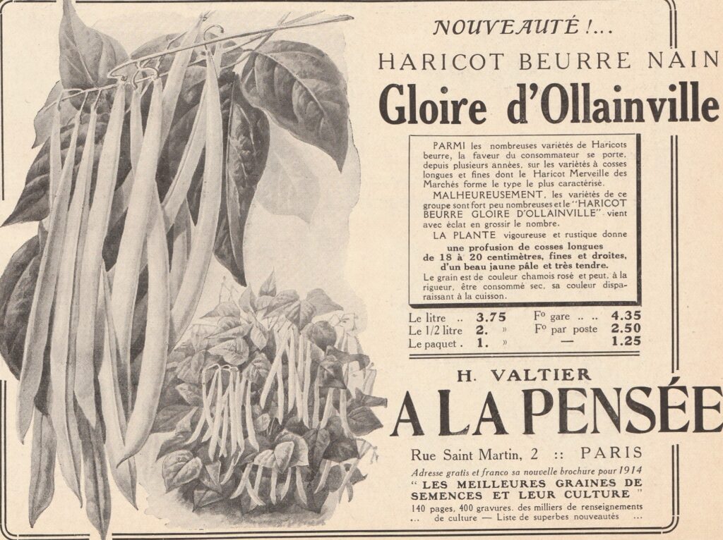 Gloire d'Ollainville-pub-jardinage-1914