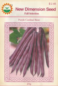 Purple cardinal-new dimens-2005-