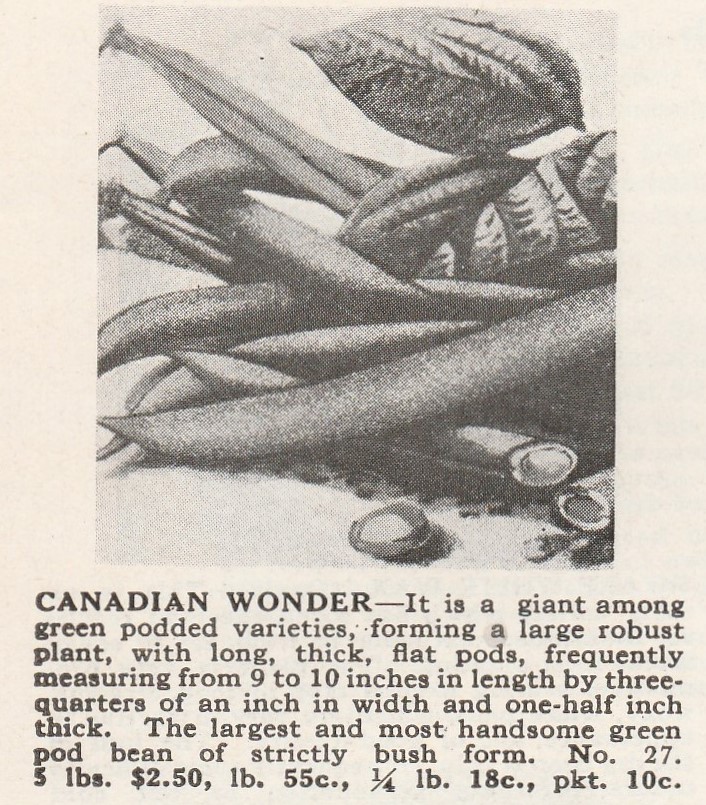 Canadian wonder-1925