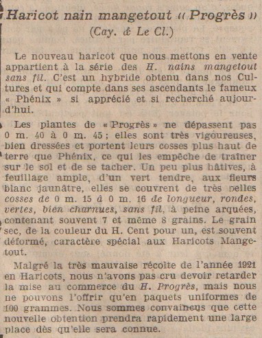 Progres-1922-1