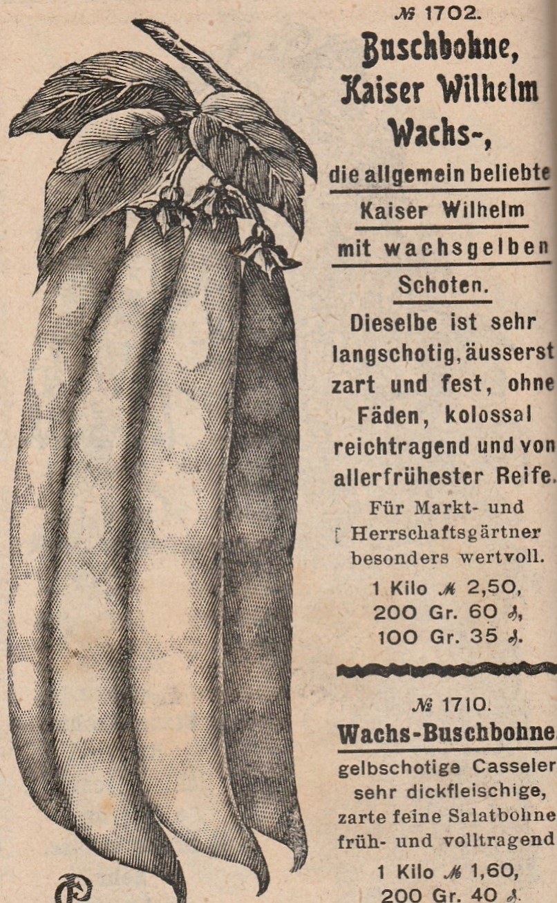 Kaiser Wilhelm wachs-1905-