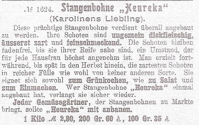 Karolinens Liebling-1905-