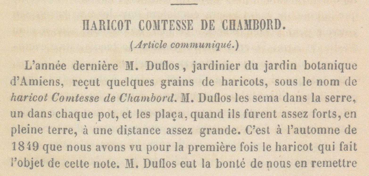 Comtesse de chambord-1850-