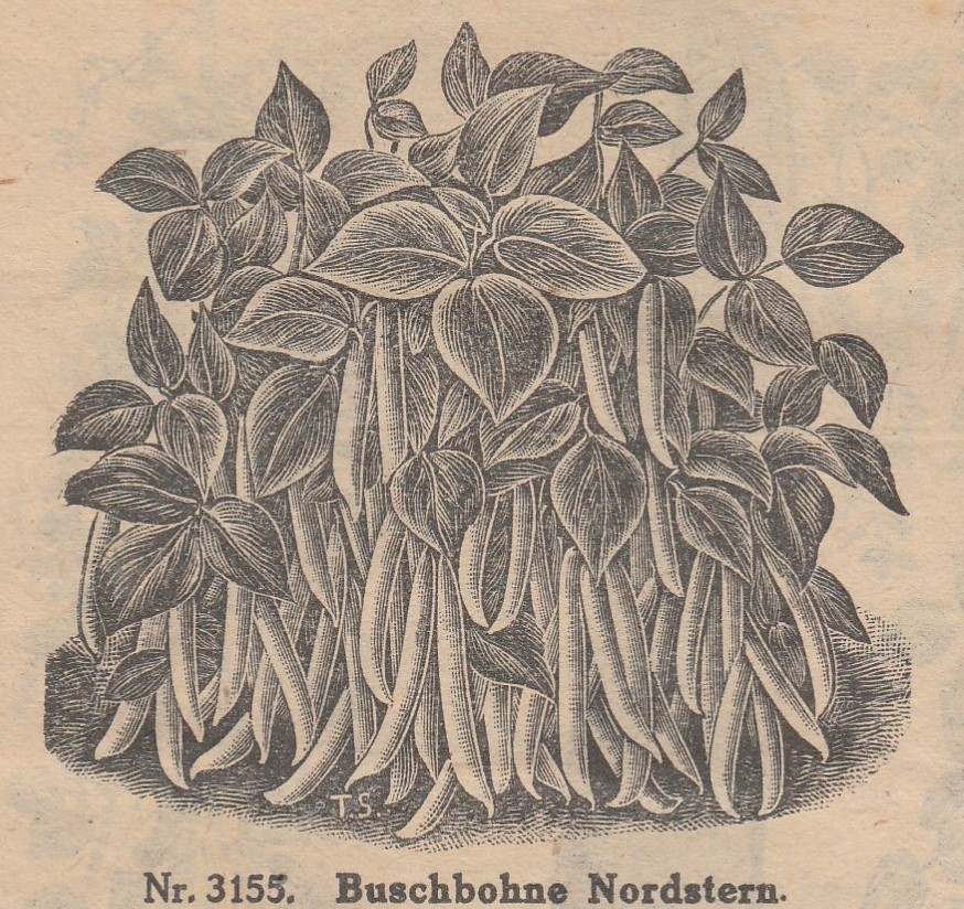 Nordstern-Chrestensen-1924-