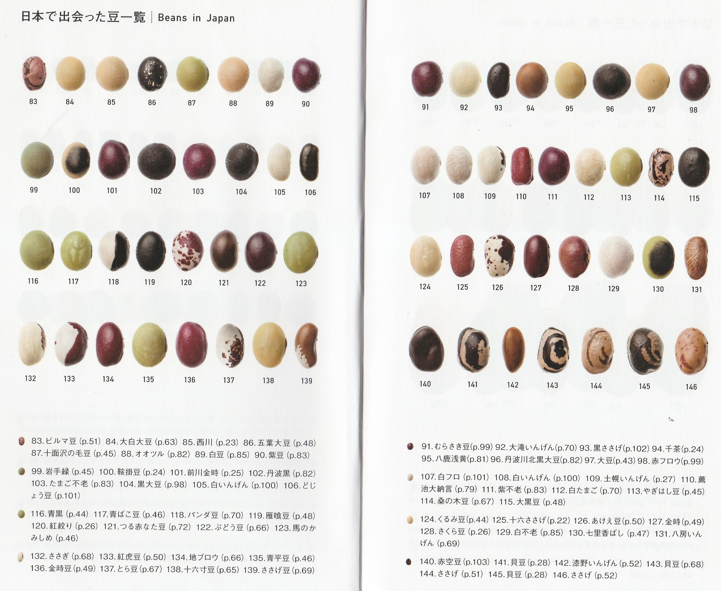 Beans in Japan-1