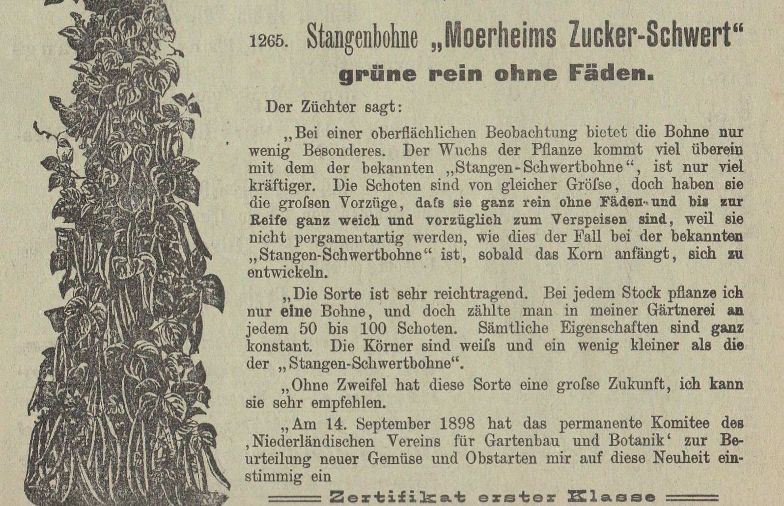 Moerheim's zucker-1908-