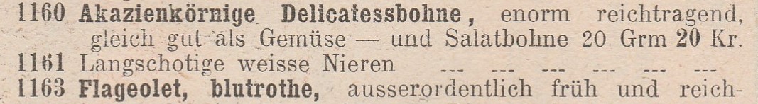 Akazienformige bohnen-1894