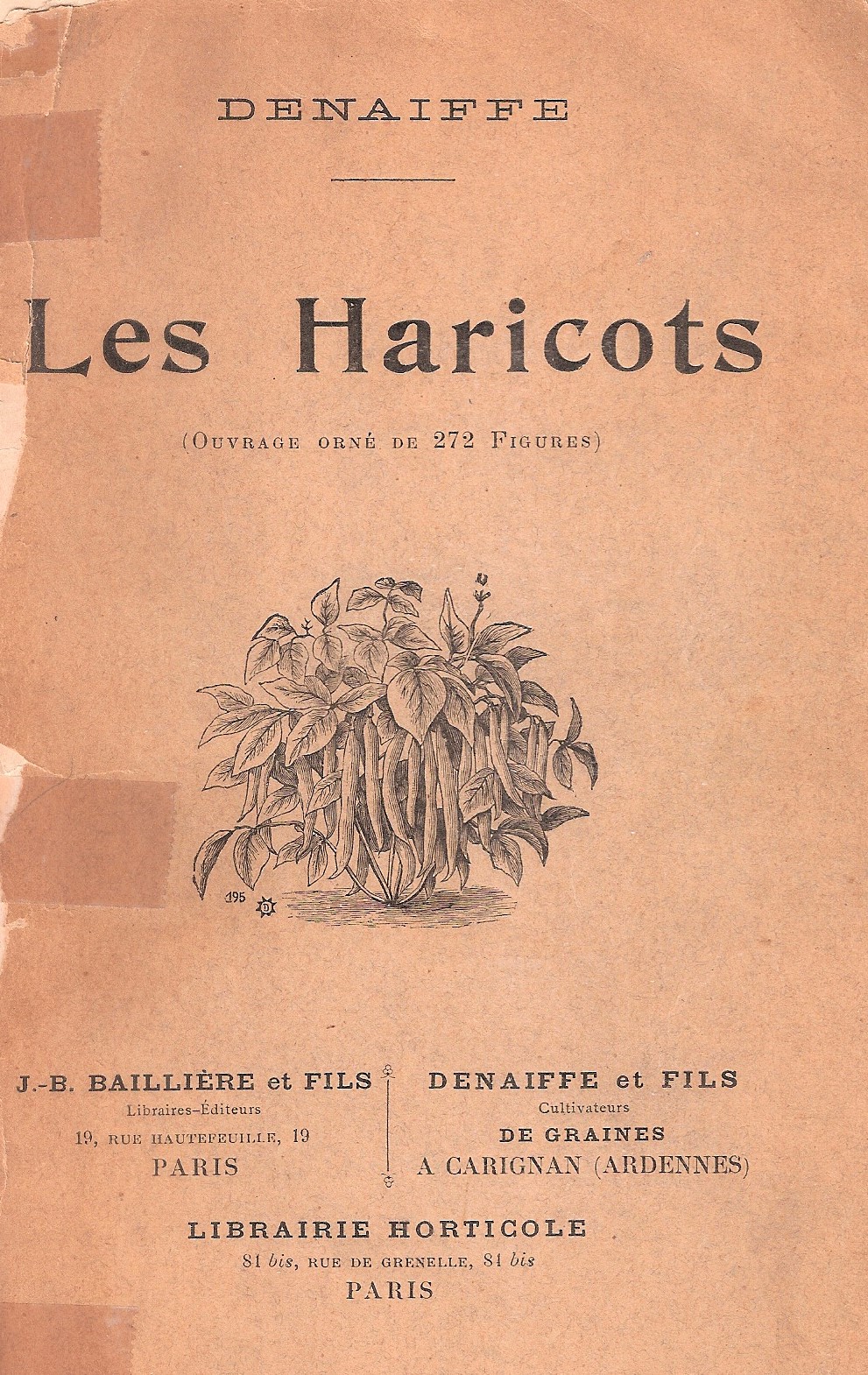 Denaiffe-Les Haricots-1