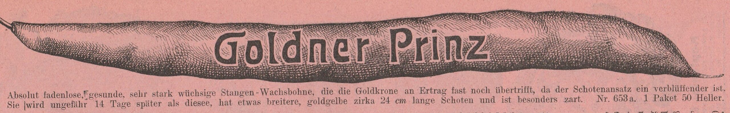 Goldner Prinz-1914-