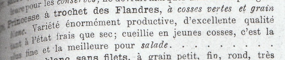 Trochet des Flandres-1893-
