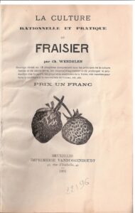 Wendelen, Ch.-La culture du Fraisier-1901-1