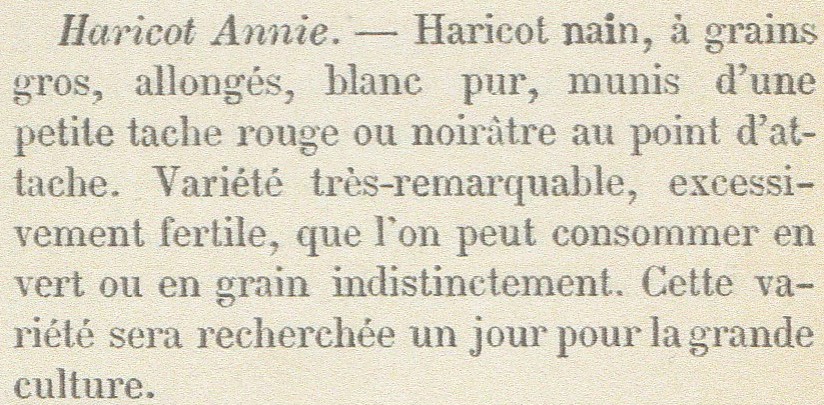 Annie, haricot-RH-1875-p.55