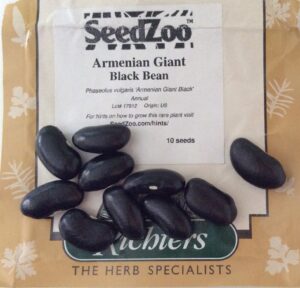 Armenian giant black bean