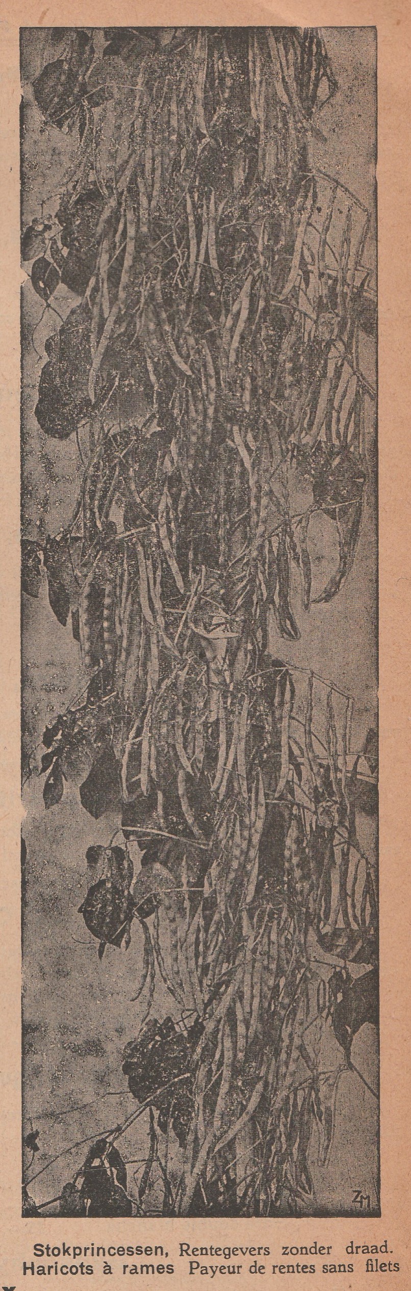 Rentegevers-1929-1