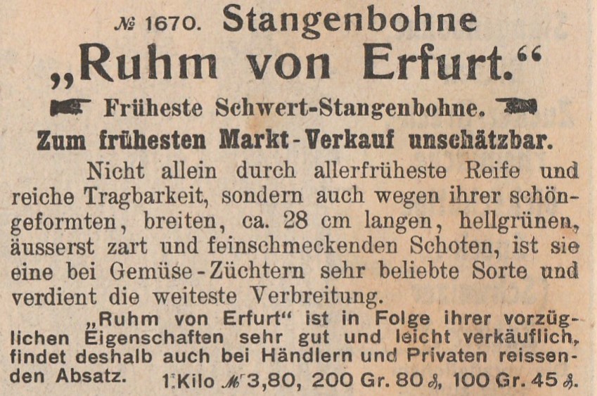 Ruhm von Erfurt-1905-2