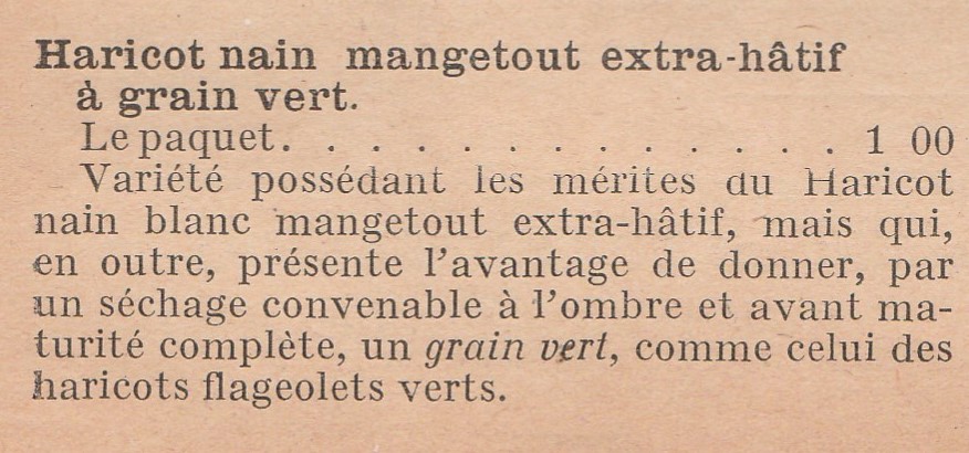Extra-hâtif à grain vert-1913-new