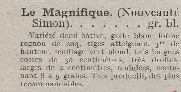 Magnifique-2-1923-