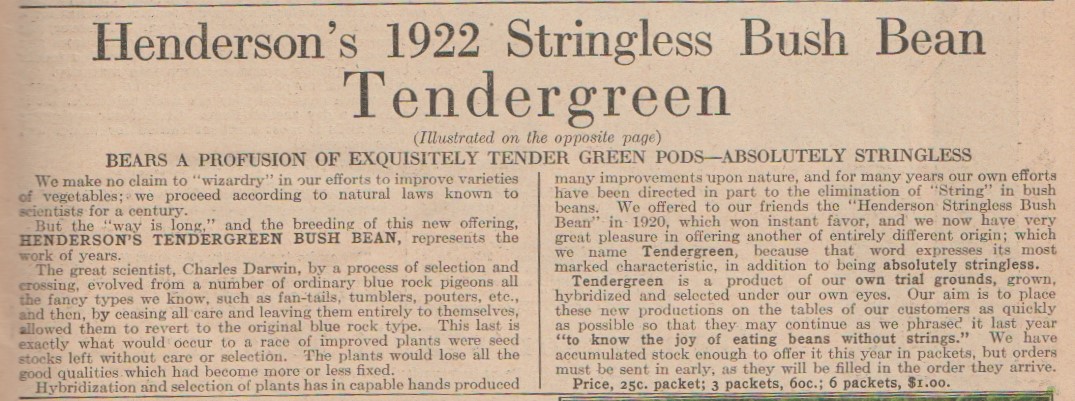 Tendergreen-1922