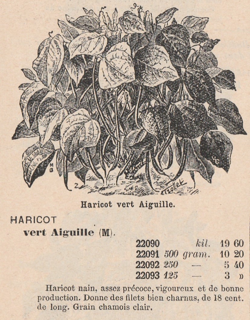 Vert Aiguille-1934 supp