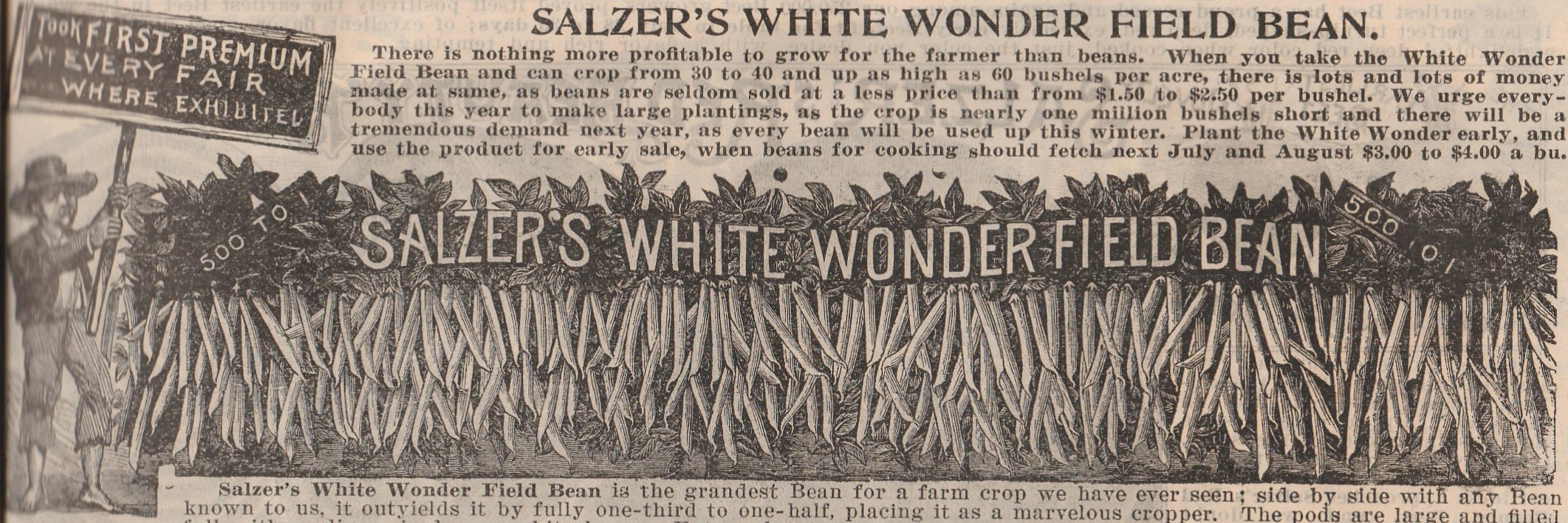 White wonder-1910-