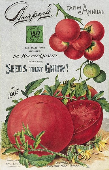 1907-2