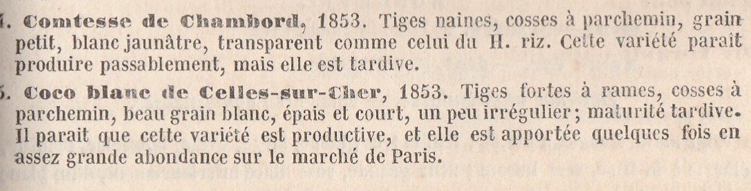 Celles-sur-cher-1856