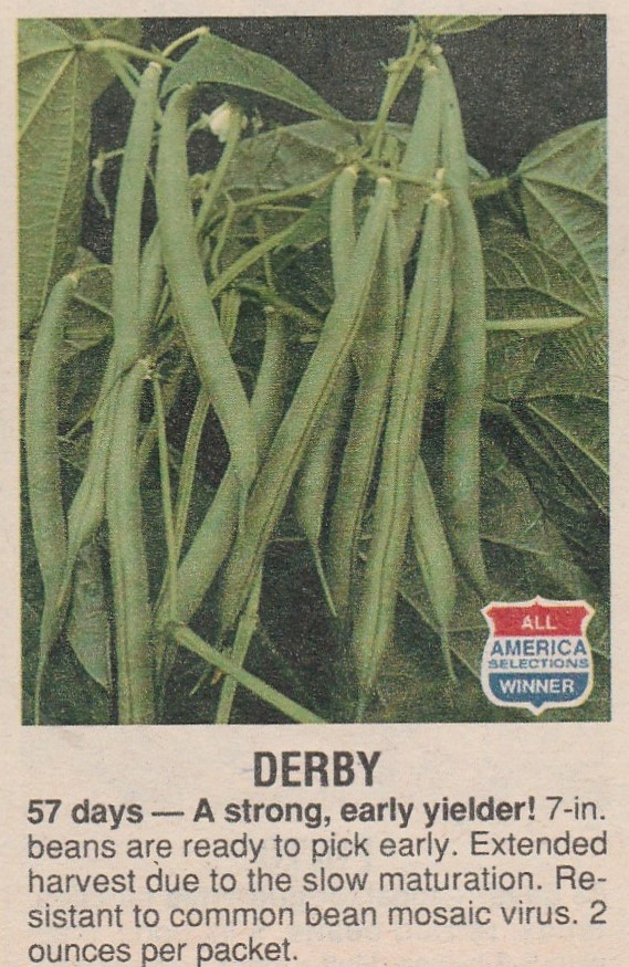 Derby-1997