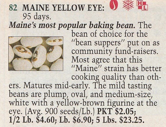 Yellow Eye, Maine-1999