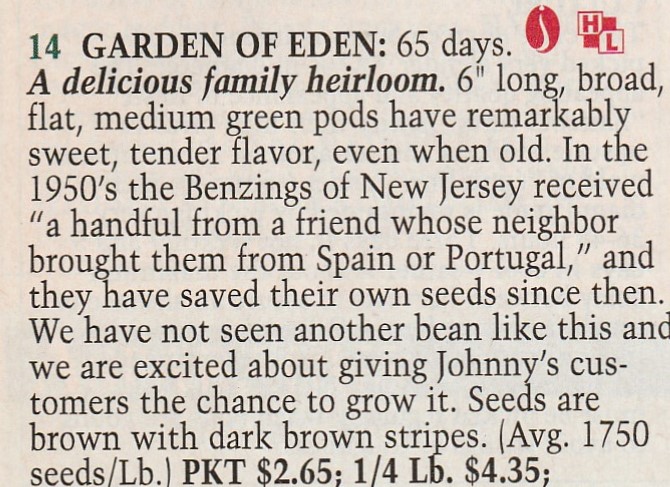 Garden of Eden-1990-