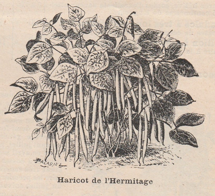 Hermitage-1913-