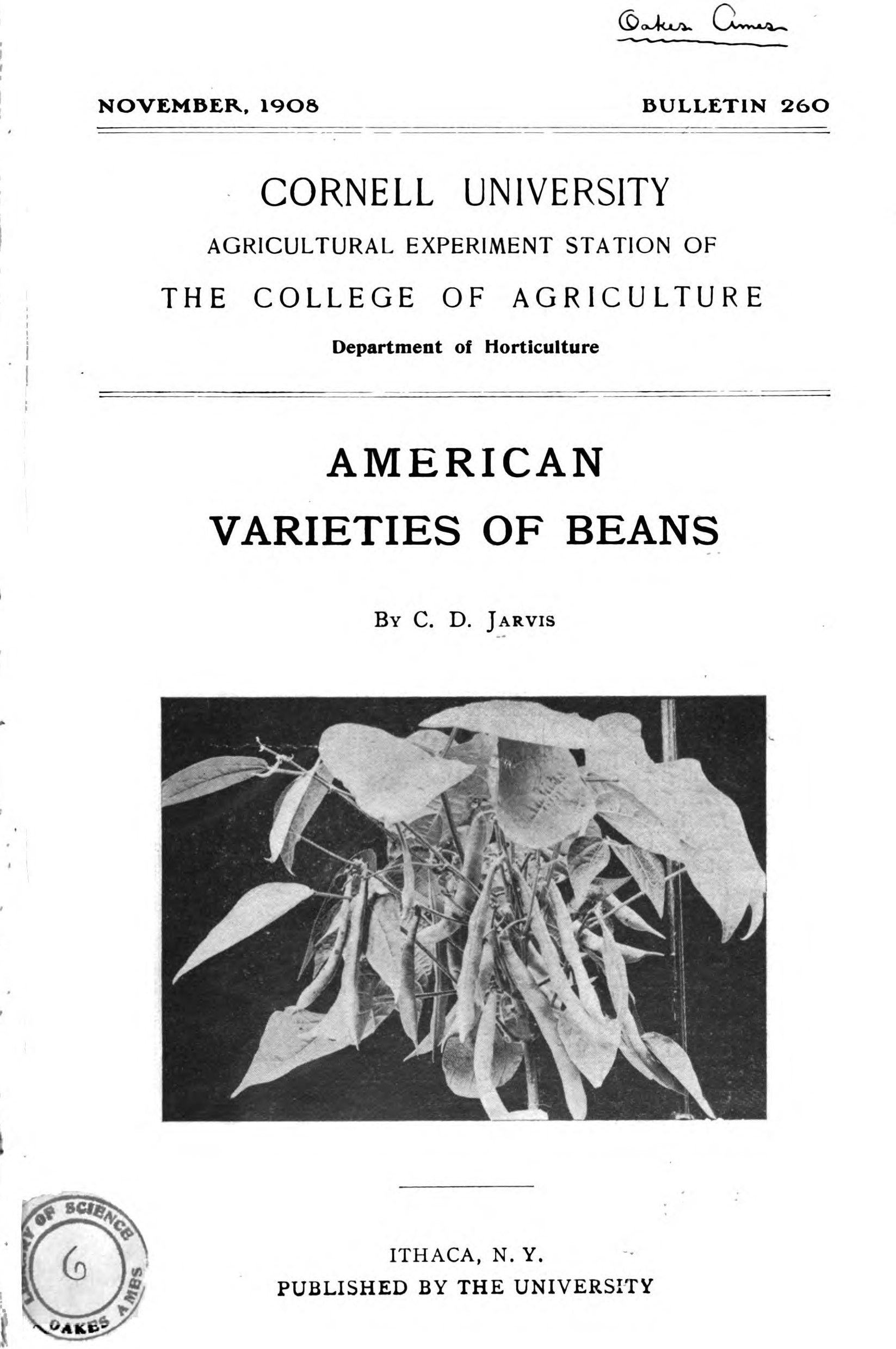 Jarvis-1908