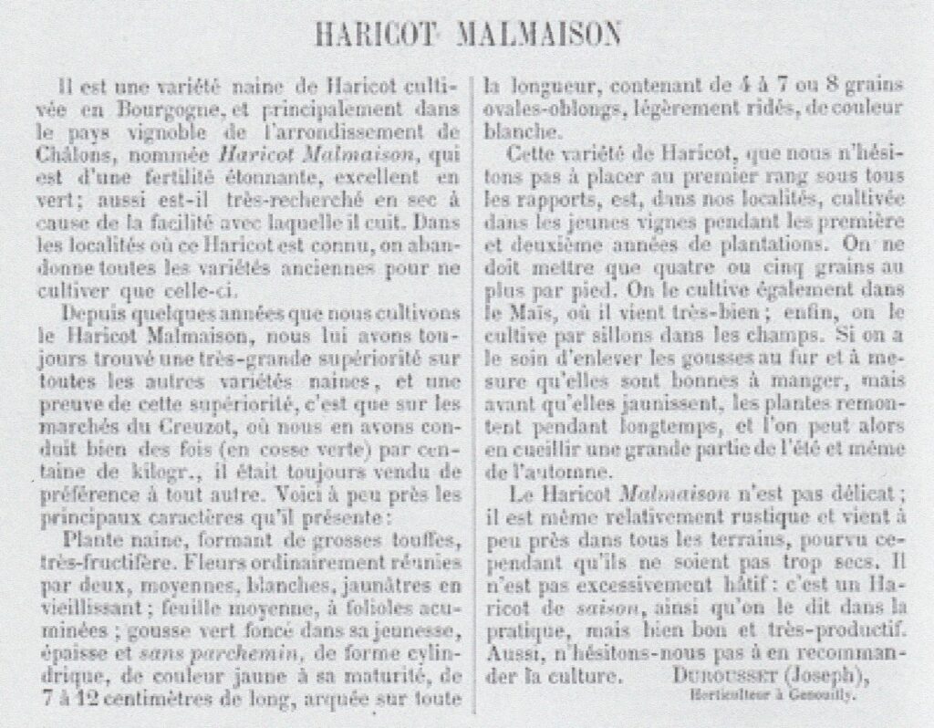 Malmaison-1871-