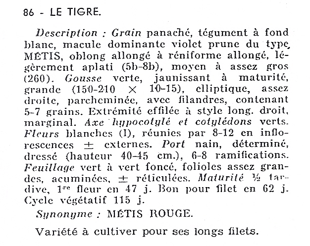Tigre, Le-RH-1950-