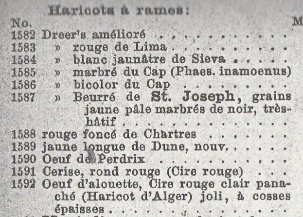 Oeuf de Perdrix-Oeuf d'Alouettes-1879
