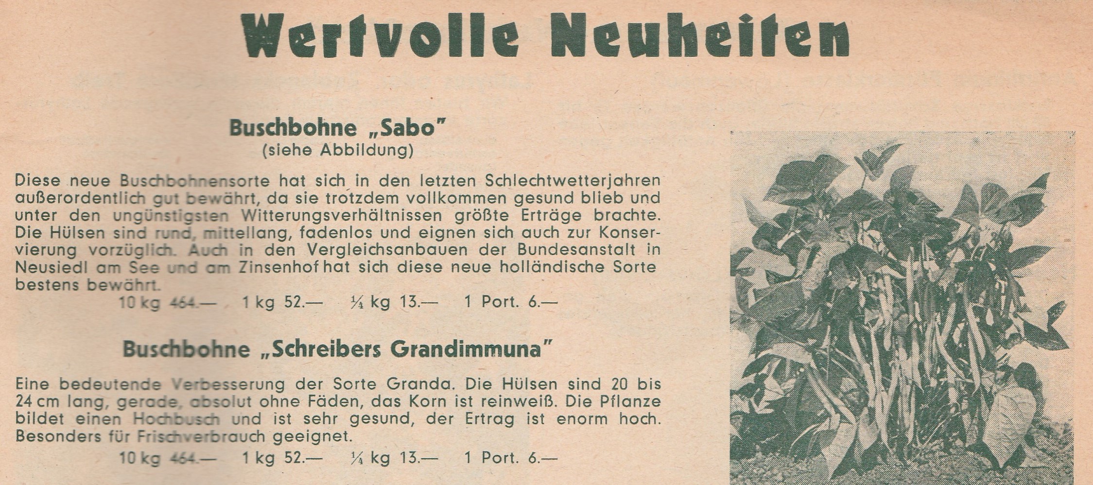 Sabo-1958-