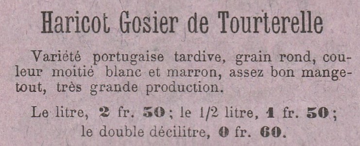 Tourterelle, Gosier de T.