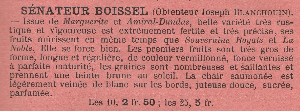 Blanchouin-sénateur boissel-cat gauth-1906-