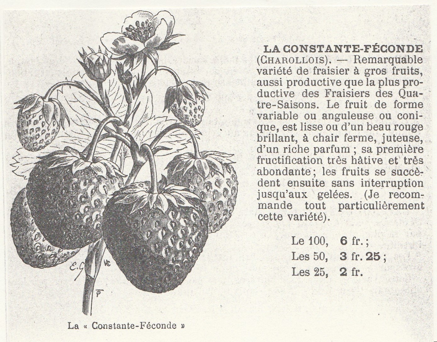 Charollois-La constante fécondé-gauthier-1908-