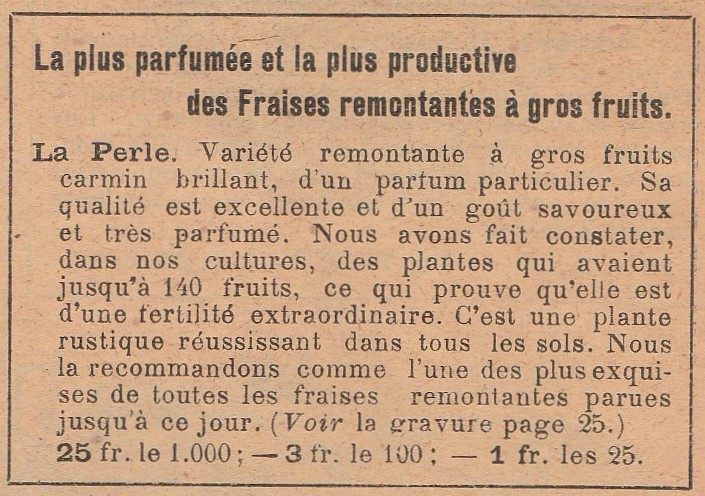 Charollois-La perle-Molin-1910-