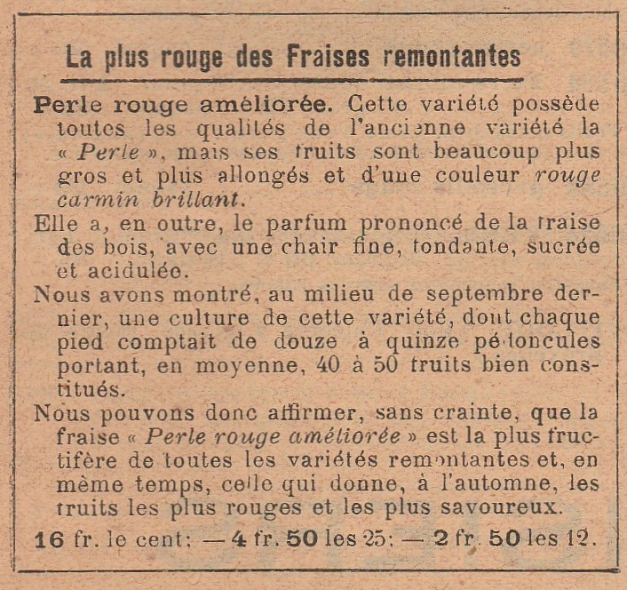 Charollois-Perle rouge-Molin-1910