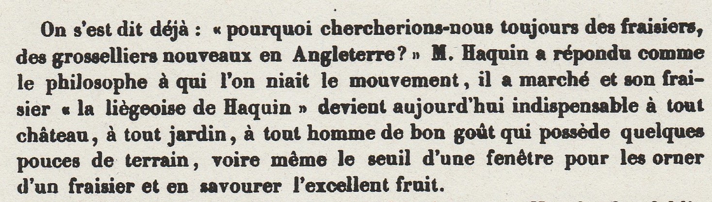 Haquin, H; Morren (1846)
