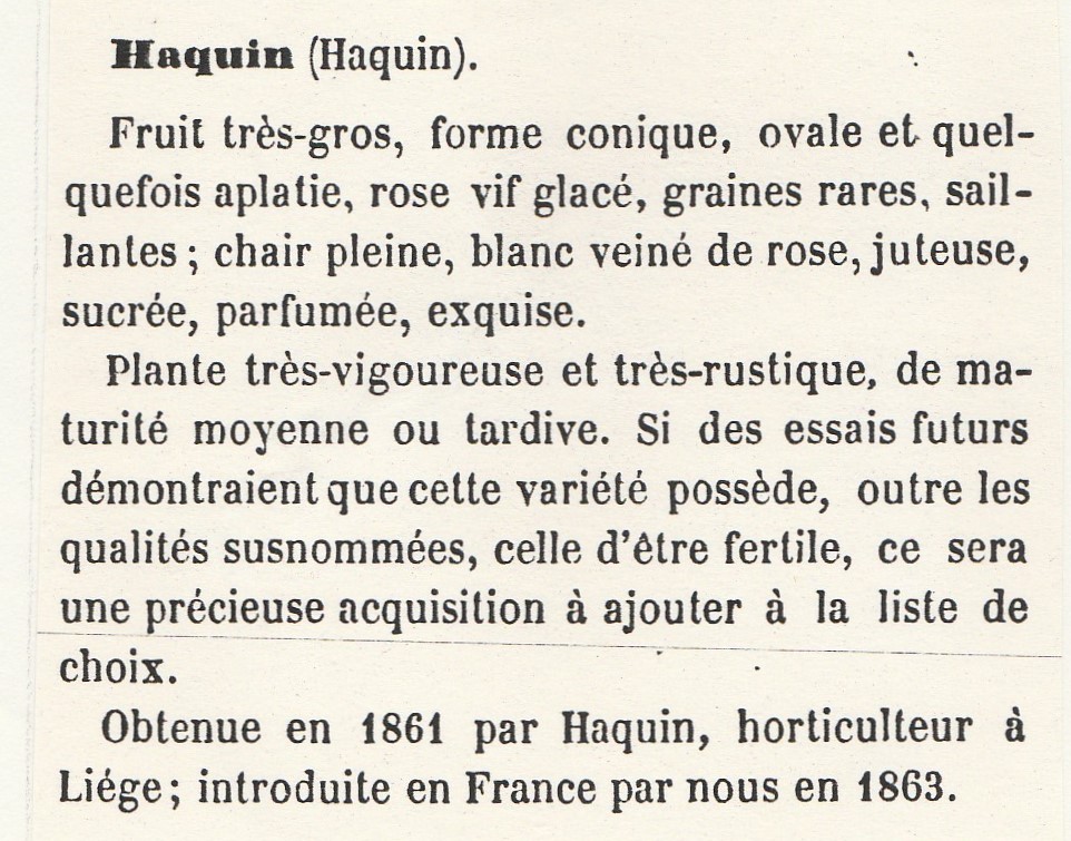 Haquin, H.-Gloede-1865-