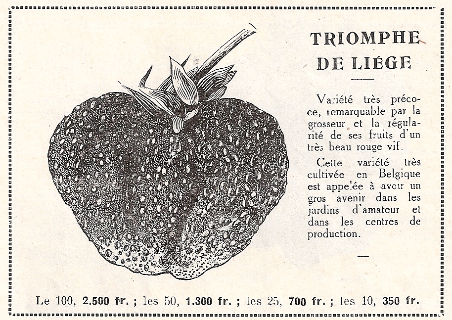 Lorio-Triomphe de Liége-cat R.Chapron-1954-