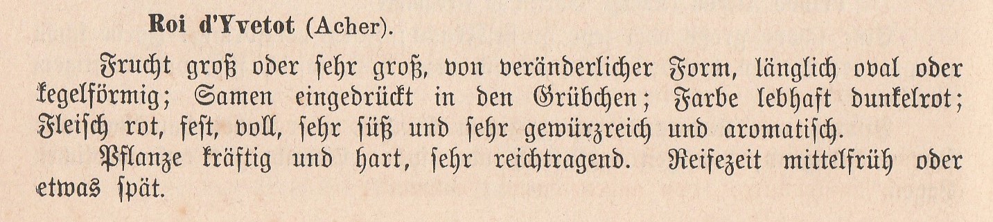 Acher-Roi d'Y-goeschke-1888