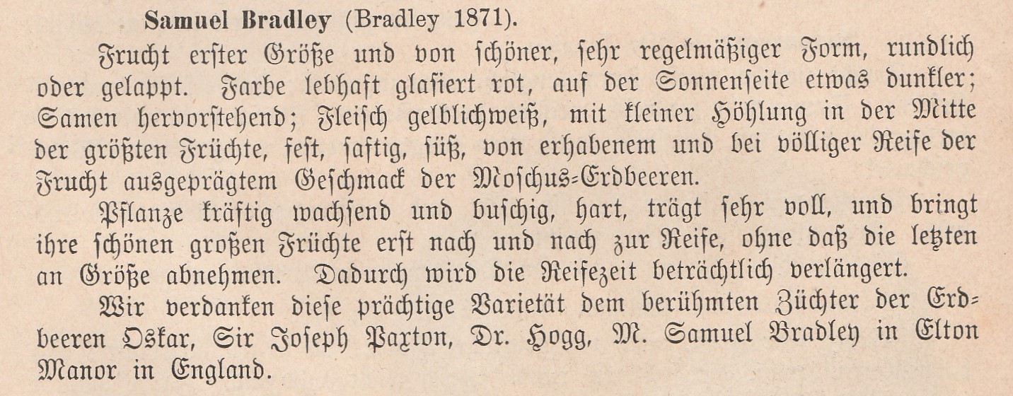 Bradley-Samual bradley-1888-goeschke