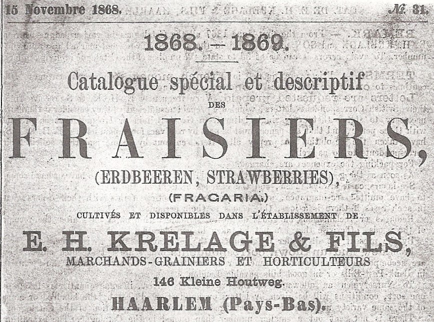 Malenfont-Krelage-1866- - kopie