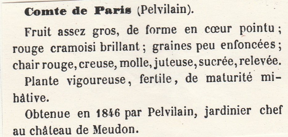Pelvillain-gloede-1865-