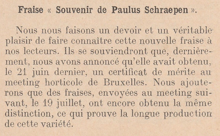 Schraepen-bull horticole-1908- (2)