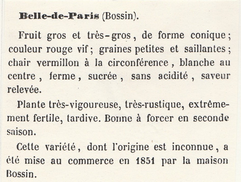 Bossin-Gloede 18695-